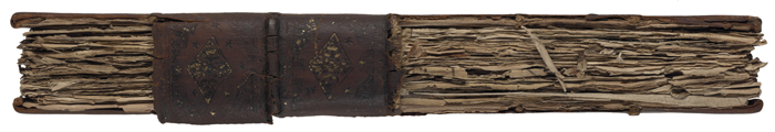 exposed spine of FolgerSTC 22273 Fo.1 no.74