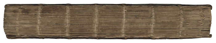 exposed spine of Don Quixote